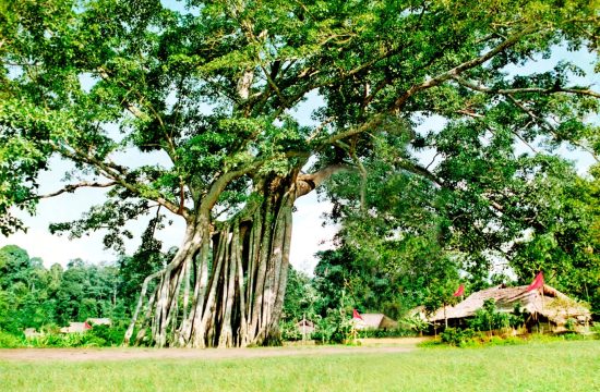 Một ngày khám phá Tân Trào và suối khoáng Mỹ Lâm 13