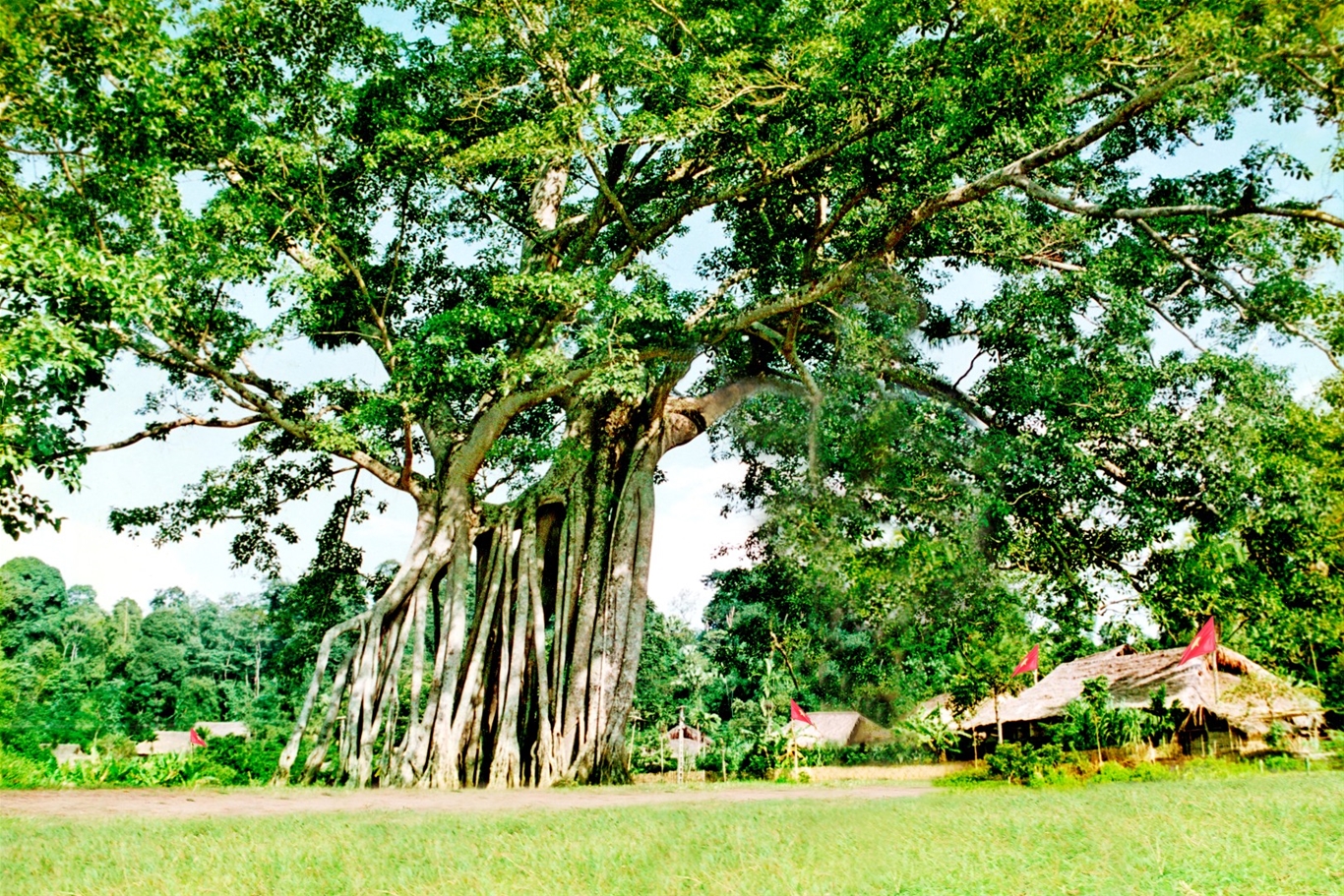 Một ngày khám phá Tân Trào và suối khoáng Mỹ Lâm 1