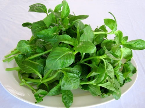 Thưởng thức Rau rừng Tây Ninh với hương vị dân dã khó quên 5