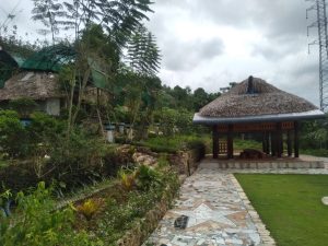 Farmstay Thanh Mai – Hưng Yên 3