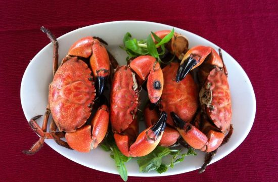 Cù kỳ Hạ Long – Món ngon dân dã mang hương vị biển sâu 37