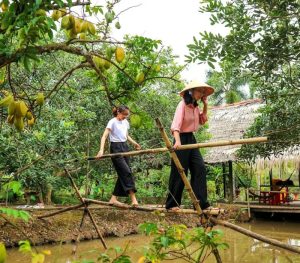 Cồn Mỹ Phước – Cắm trại miệt vườn 5