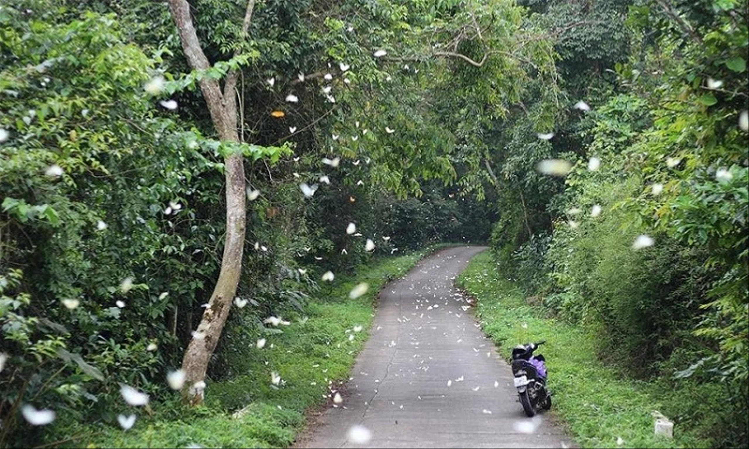 Ninh Bình – Hành Trình Di Sản, Sinh Thái & Văn Hóa Độc Đáo – Tour 3 Ngày 2 Đêm 3