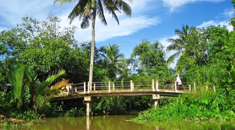1 Ngày khám phá miền dừa Bến Tre – sông Tiền thơ mộng