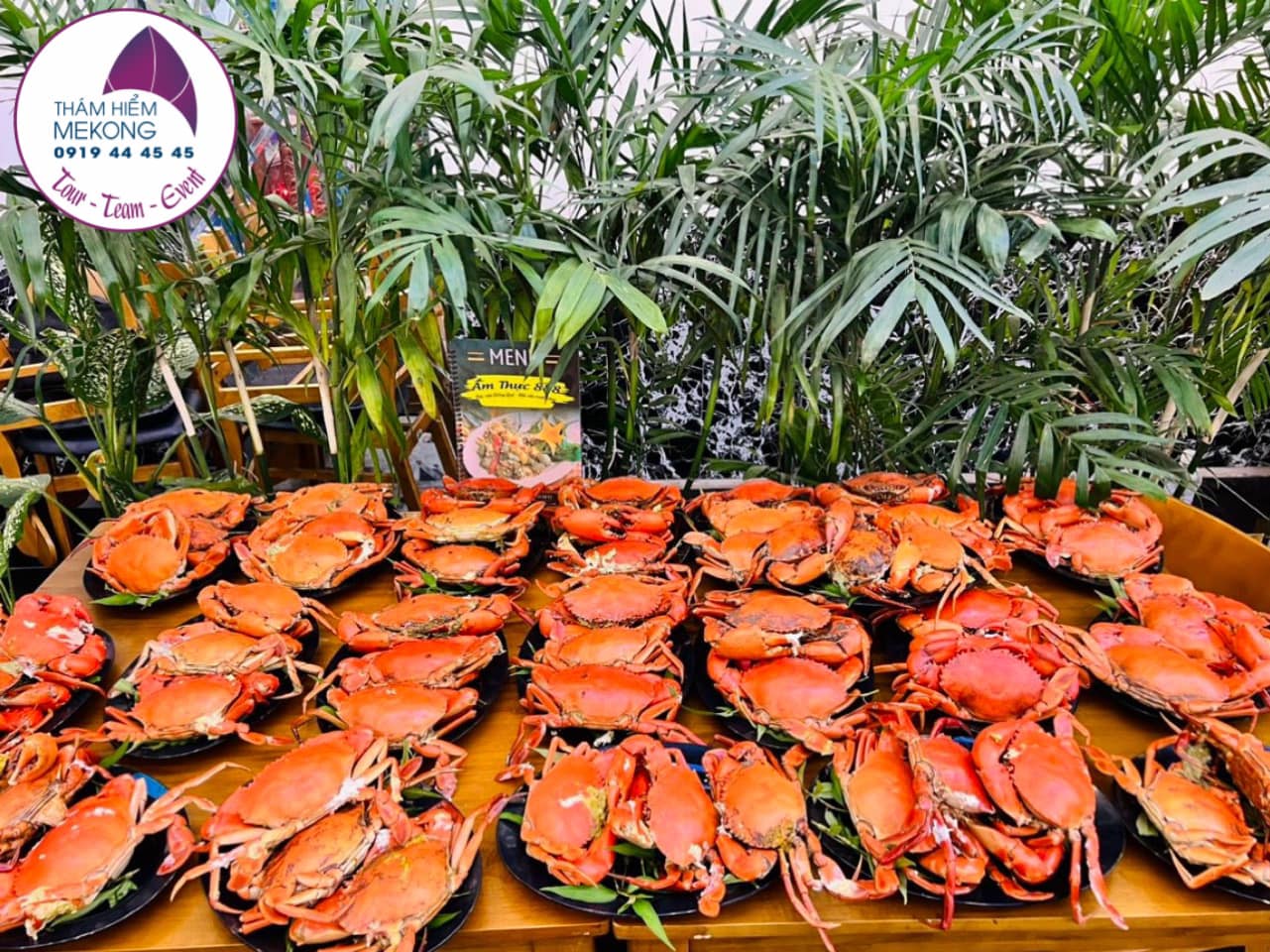 Cua biển Cà Mau: Vị Ngọt Từ Biển Cả 1
