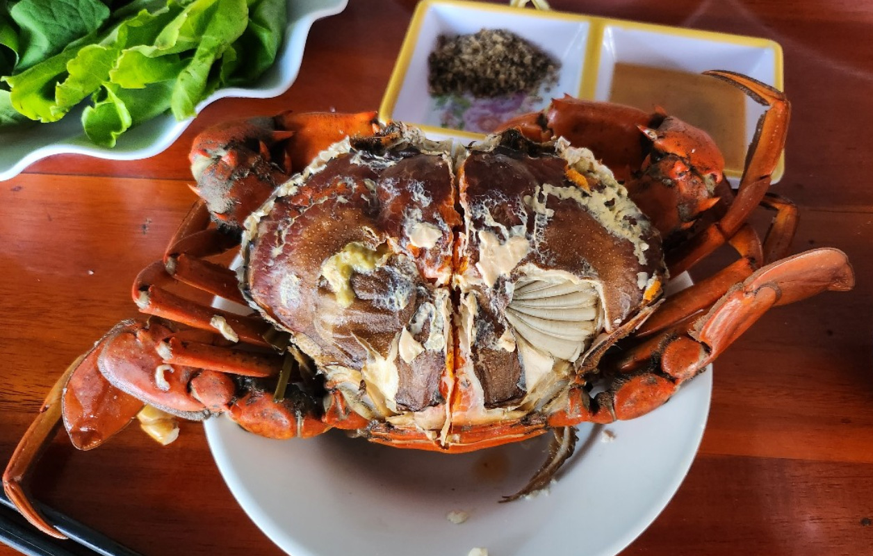 Cua biển Cà Mau: Vị Ngọt Từ Biển Cả 5
