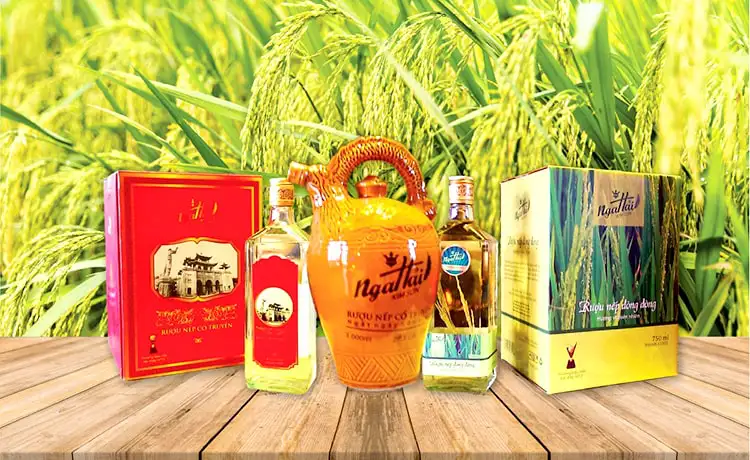 Rượu Kim Sơn Ninh Bình – Hương men nồng từ vùng đất ven biển 7
