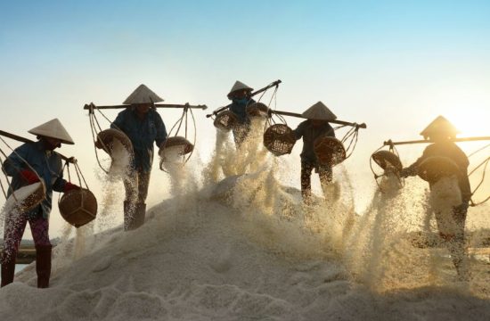 Đồng muối Sa Huỳnh - Cánh đồng muối nổi tiếng ở Việt Nam vào thế kỷ XIX 13