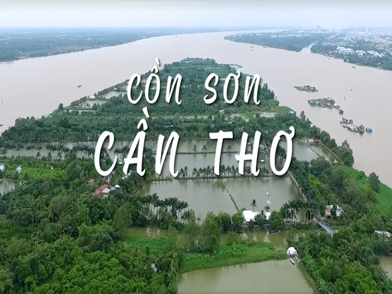 Cần Thơ – Cồn Sơn – Sóc Trăng – Bạc Liêu – Cà Mau (3 ngày 2 đêm)