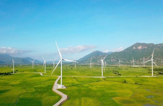 Những mảng màu kỳ diệu trên cánh đồng điện gió Phan Rang 10