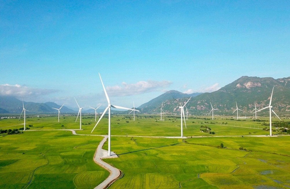 Những mảng màu kỳ diệu trên cánh đồng điện gió Phan Rang 1