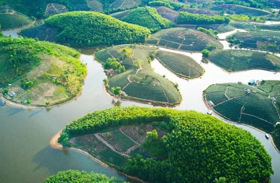 “Một ngày trốn phố – Về Thanh Chương tìm bình yên bên đồi chè và sông Lam” 7