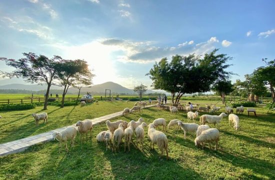 4N3Đ WELLNESS & DETOX TẠI NINH THUẬN – KHÁNH HÒA: THIÊN NHIÊN, BIỂN, VĂN HÓA VÀ THƯ GIÃN TOÀN DIỆN 3
