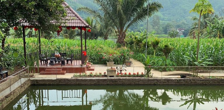 Dong Du Village Lakeside Farmstays – Nghỉ Dưỡng Sinh Thái Giữa Vườn Cây & Hồ Nước Đông Hiếu