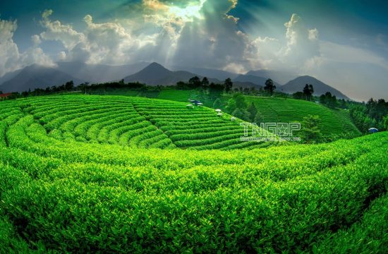 Tham khảo lịch trình 3N2Đ ở Thái Nguyên 5