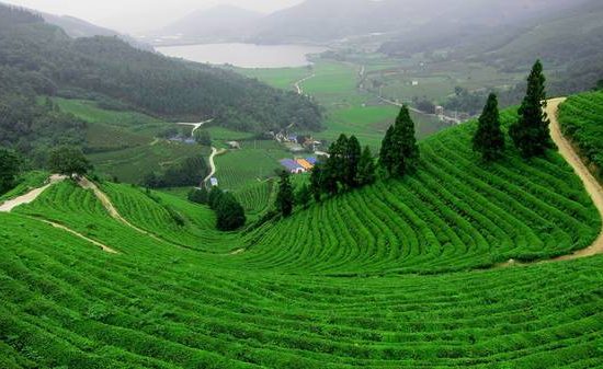 Hành trình 4N3Đ đi hết Thái Nguyên 11