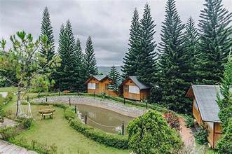 Elon Coffee Farmstay
