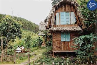 Midori Coffee Farm