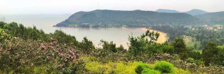Bãi Lữ – Đồi Sim: Điểm Camping Biển – Núi “Hot” Nhất Nghệ An