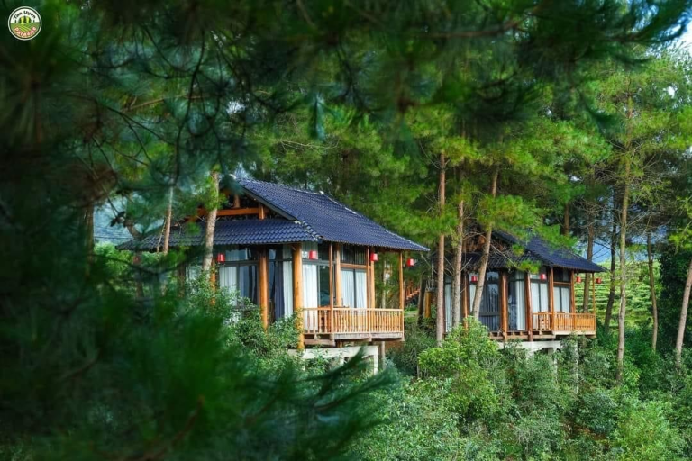 Tân Uyên Paradise – “Thiên đường nghỉ dưỡng giữa đồi chè”