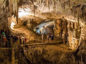 Hang Mỏ Luông - Kỳ quan thiên nhiên giữa núi rừng 29