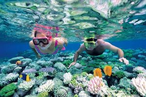 Tour Hòn Khô – Lặn ngắm san hô nửa ngày 9