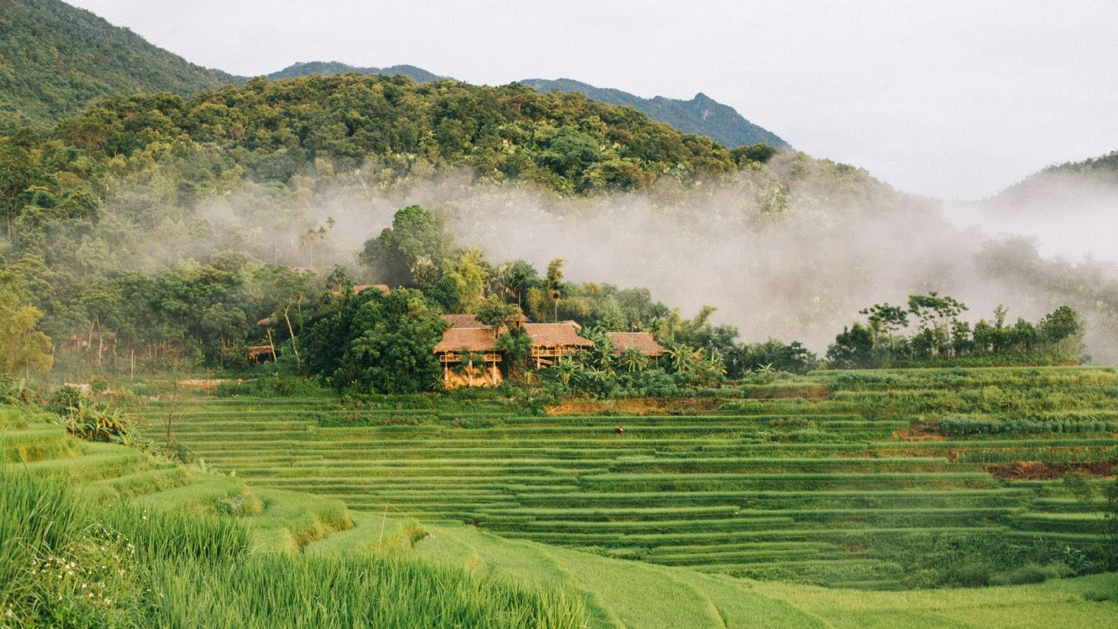 Kho Mường Eco Camp 3