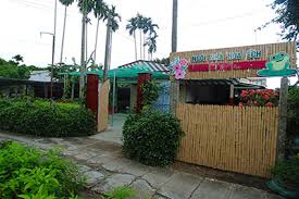 Flower & Frog Homestay 2 Flower & Frog Homestay 1