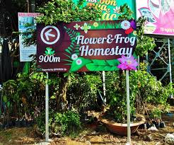 Flower & Frog Homestay 31