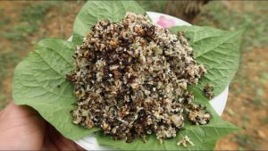 Đặc sản Trứng Kiến 9