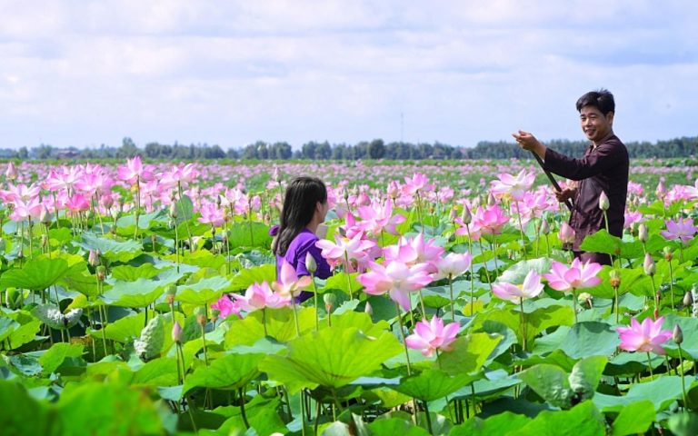 Tour combo trọn gói 3 ngày 2 đêm du lịch Hà Nội – Đồng Tháp
