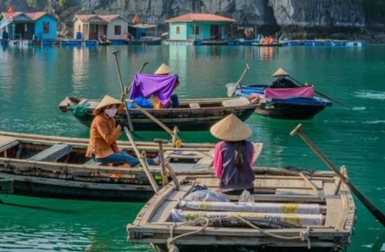 Tour Ghép Tham Quan Vịnh Hạ Long 1 Ngày (5–6 Tiếng) 17