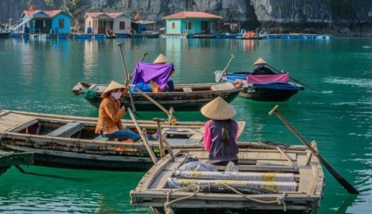 Tour Ghép Tham Quan Vịnh Hạ Long 1 Ngày (5–6 Tiếng)