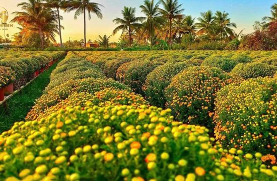 TOUR CHECK-IN LÀNG HOA SA ĐÉC – TRẢI NGHIỆM KHÔNG KHÍ CHỢ QUÊ – KHÁM PHÁ KDL MỸ PHƯỚC THÀNH 21