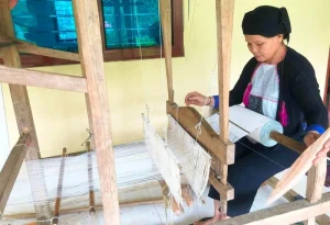 Nghề dệt của người Dao Họ 5