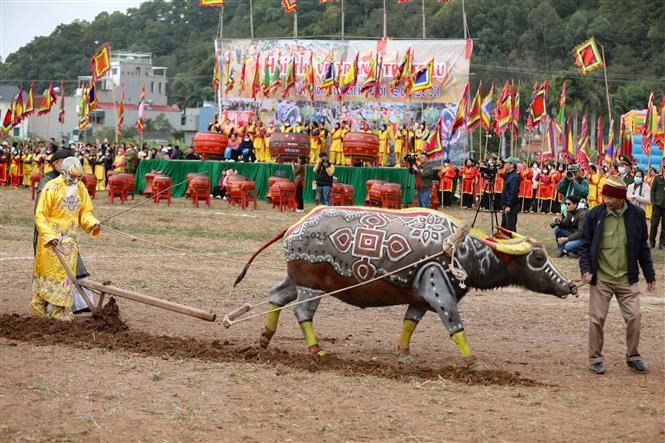 Lễ Tịch điền – Nghi lễ nông nghiệp linh thiêng gắn với hồn đất Việt 7