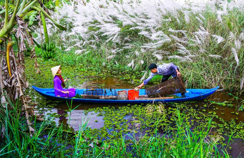 Tour Tự Chọn Cà Mau: Khám Phá Vẻ Đẹp Cực Nam Tổ Quốc Theo Cách Của Bạn 3