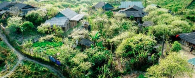 Cổng Trời Mường Lống – Điểm Camping & Săn Mây “Sapa Thu Nhỏ” Ở Nghệ An