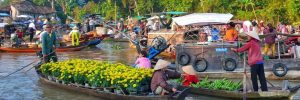 TOUR 1 NGÀY: VĨNH LONG – KHÁM PHÁ VẺ ĐẸP MIỆT VƯỜN SÔNG NƯỚC 11