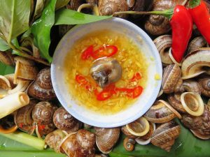 Ốc núi Ninh Bình: Đặc sản lạ miệng, đậm vị núi rừng cố đô