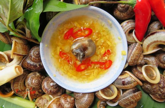 Ốc núi Ninh Bình: Đặc sản lạ miệng, đậm vị núi rừng cố đô 17