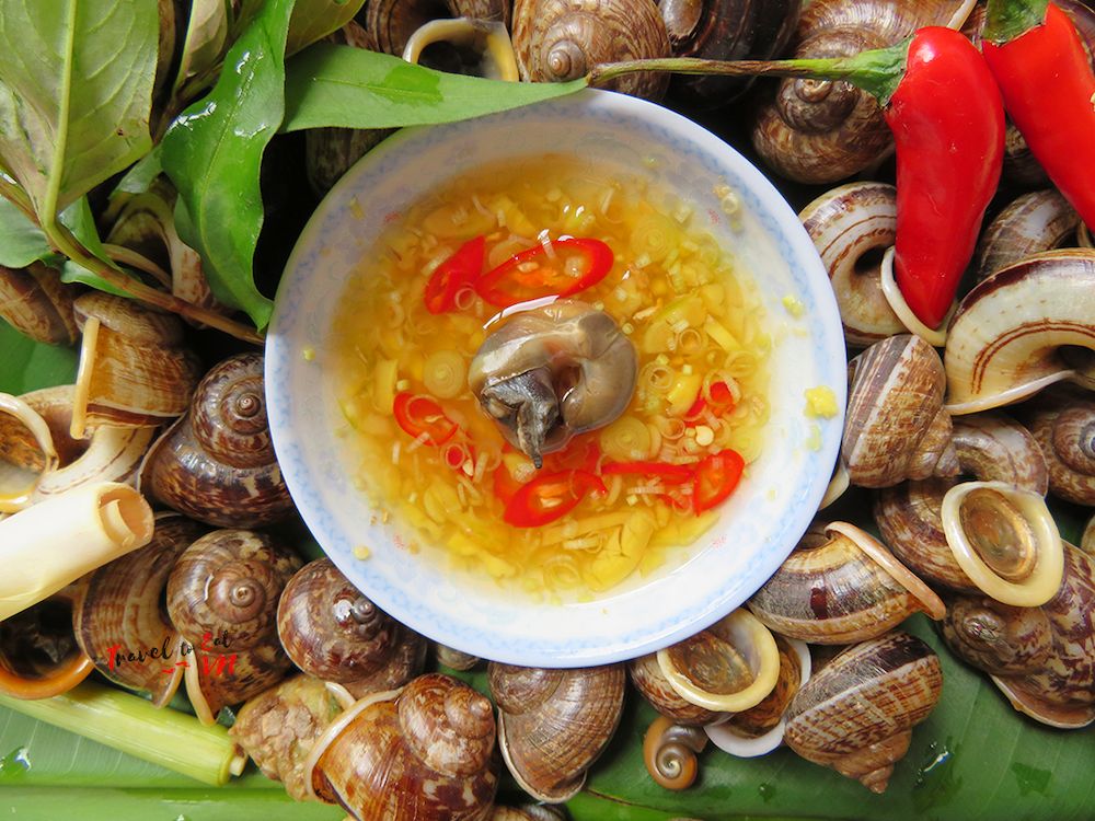 Ốc núi Ninh Bình: Đặc sản lạ miệng, đậm vị núi rừng cố đô 7