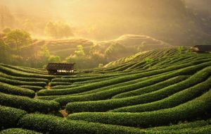 Free&Easy Tour khám phá Thái Nguyên - mẫu 1 8