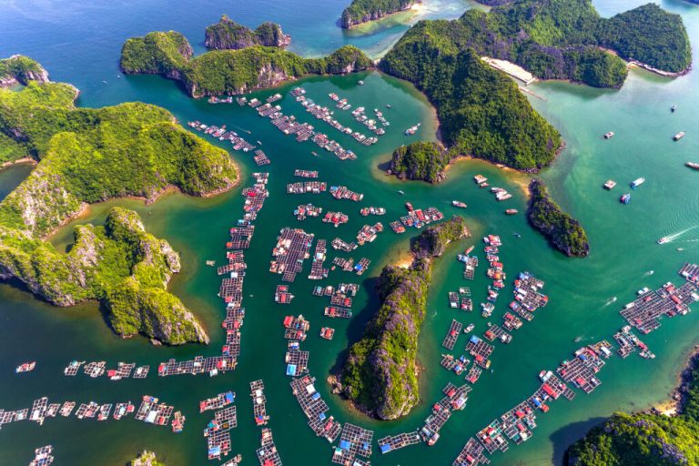 Gợi ý lịch trình 1 ngày khám phá Hải Phòng từ Hà Nội