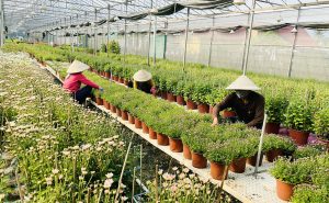 Vườn Nhà Tám – Homestead & Farmstay - Không gian Nam Bộ xưa giữa lòng An Giang – vừa nghỉ dưỡng vừa trải nghiệm làng nghề 15