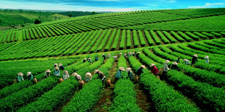 Combo Tour “Hà Nội – Cao Bằng – Thái Nguyên” 3 ngày 2 đêm