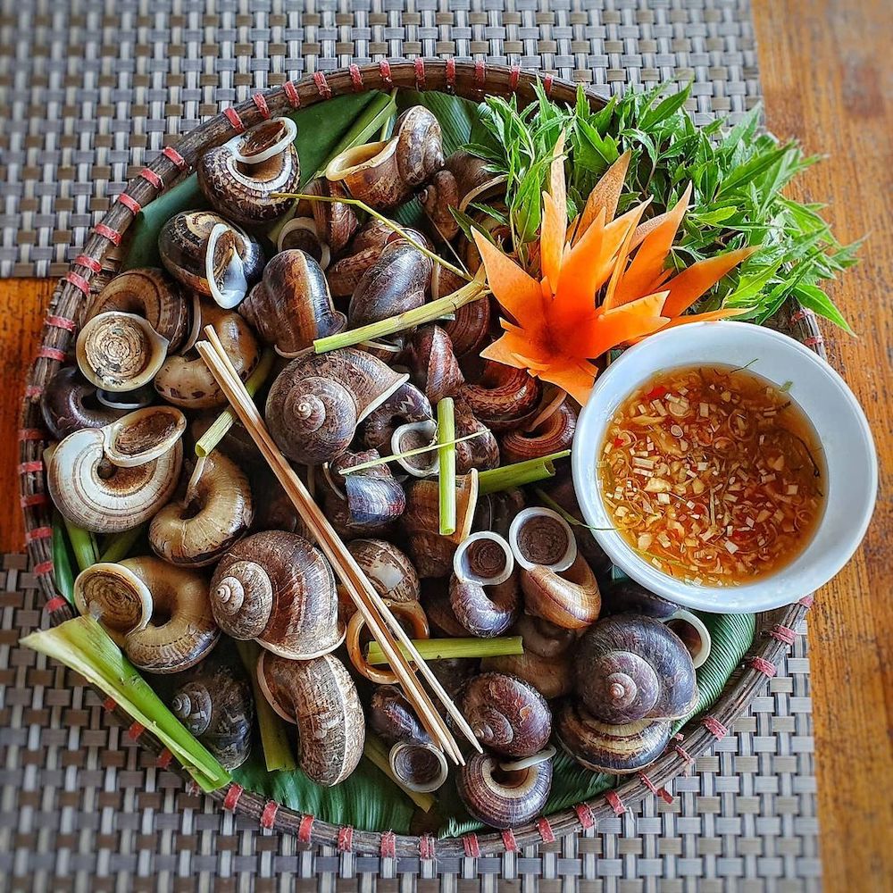 Ốc núi Ninh Bình: Đặc sản lạ miệng, đậm vị núi rừng cố đô 3