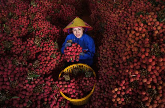Trải nghiệm Lục Ngạn – Mùa vải chín 19