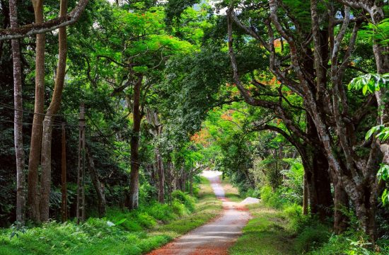 Ninh Bình – Hành Trình Di Sản, Sinh Thái & Văn Hóa Độc Đáo – Tour 3 Ngày 2 Đêm 9