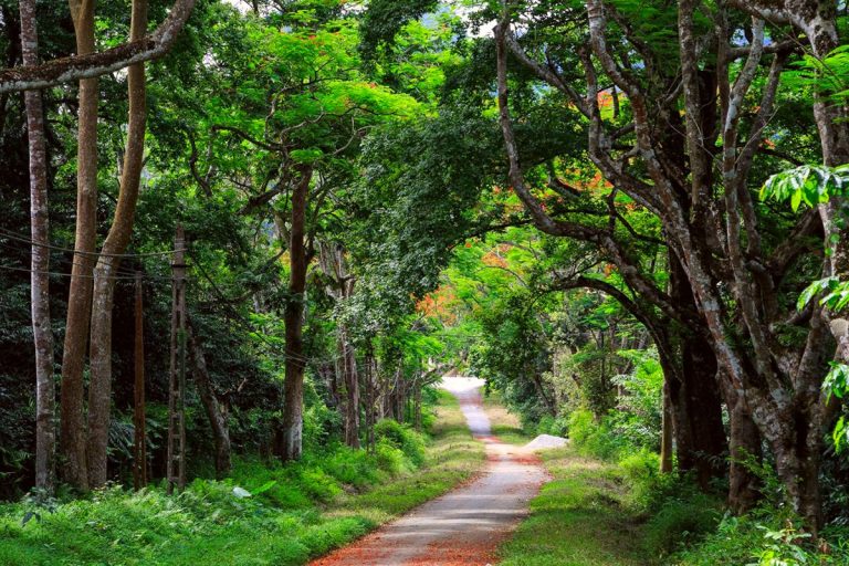Ninh Bình – Hành Trình Di Sản, Sinh Thái & Văn Hóa Độc Đáo – Tour 3 Ngày 2 Đêm